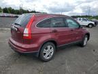 HONDA CR-V EX photo