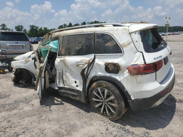 2020 Mercedes-Benz Glb 250 VIN: WDC4M4GB0LW009068 Lot: 58404914