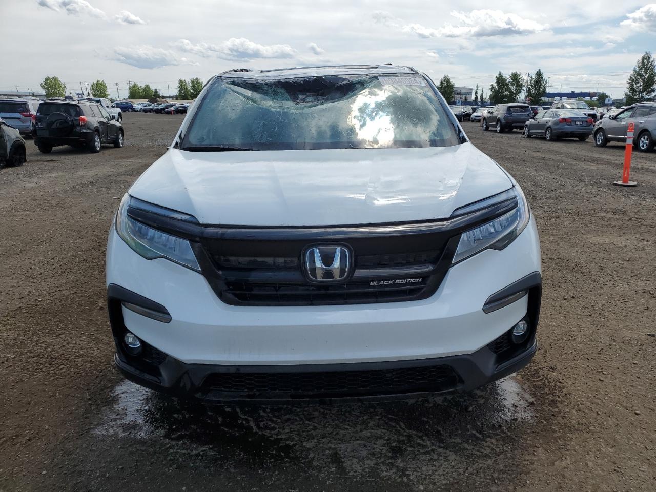 2020 Honda Pilot Elite vin: 5FNYF6H08LB501040