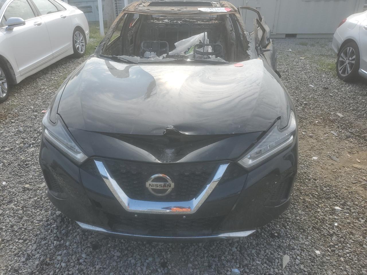 1N4AA6AV4KC371569 2019 Nissan Maxima S