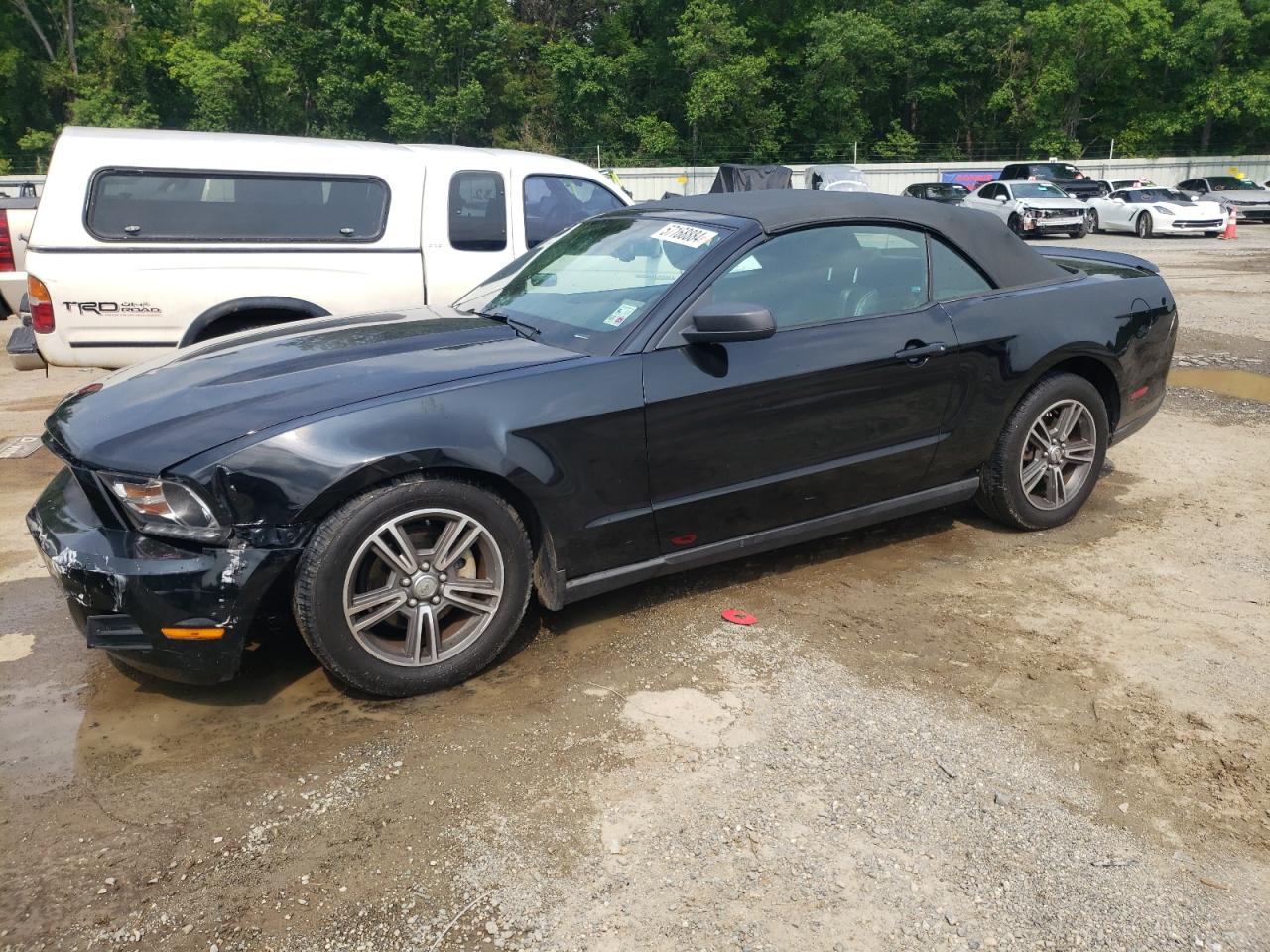 1ZVBP8EN1A5111892 2010 Ford Mustang