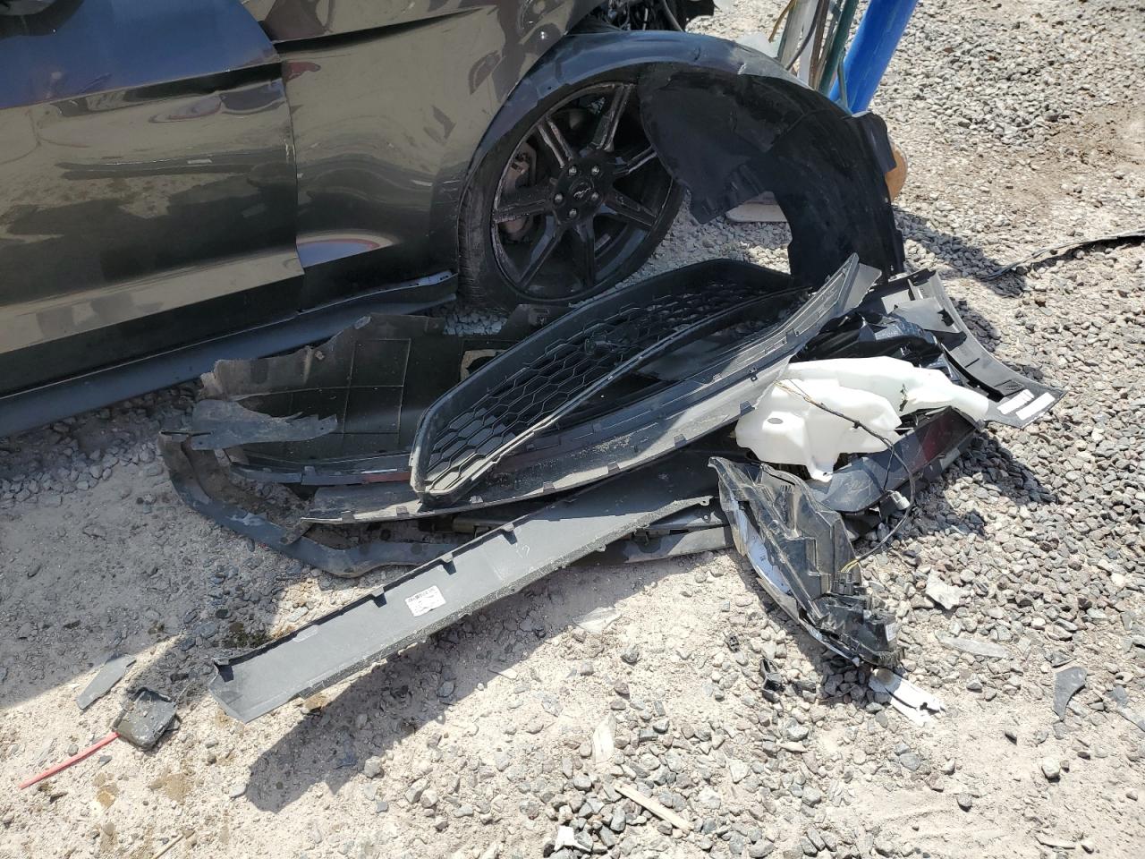 1FA6P8TH5K5146816 2019 Ford Mustang