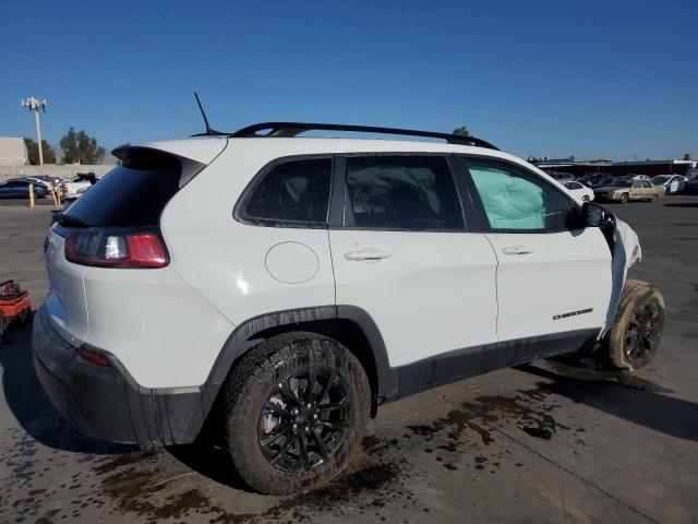 2023 JEEP CHEROKEE A - 1C4PJMMB5PD109846