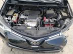 TOYOTA RAV4 XLE photo