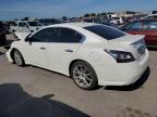 NISSAN MAXIMA S photo