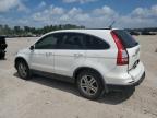 HONDA CR-V EXL photo