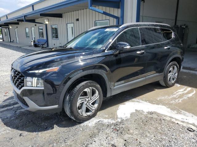 2023 Hyundai Santa Fe Sel VIN: 5NMS2DAJ0PH579129 Lot: 59771194