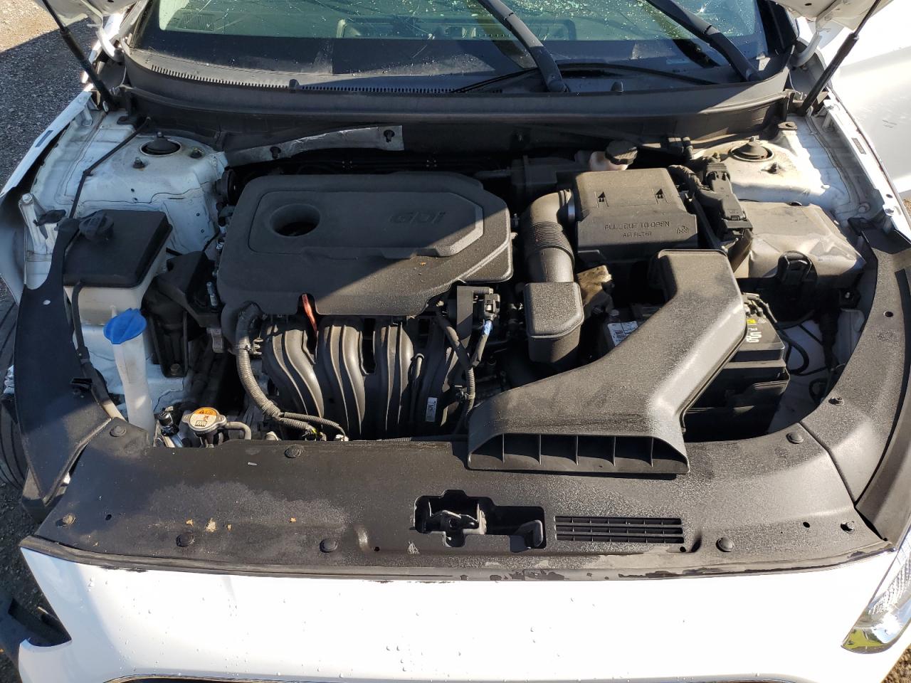 5NPE24AF2KH755571 2019 Hyundai Sonata Se