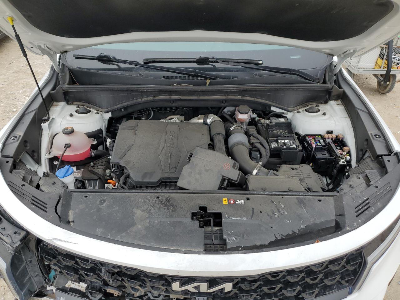 5XYRK4LF9NG133558 2022 Kia Sorento Sx