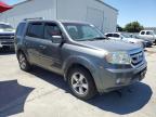 HONDA PILOT EXL photo