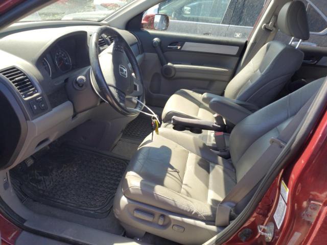 2010 Honda Cr-V Exl VIN: 5J6RE4H76AL101135 Lot: 57090024