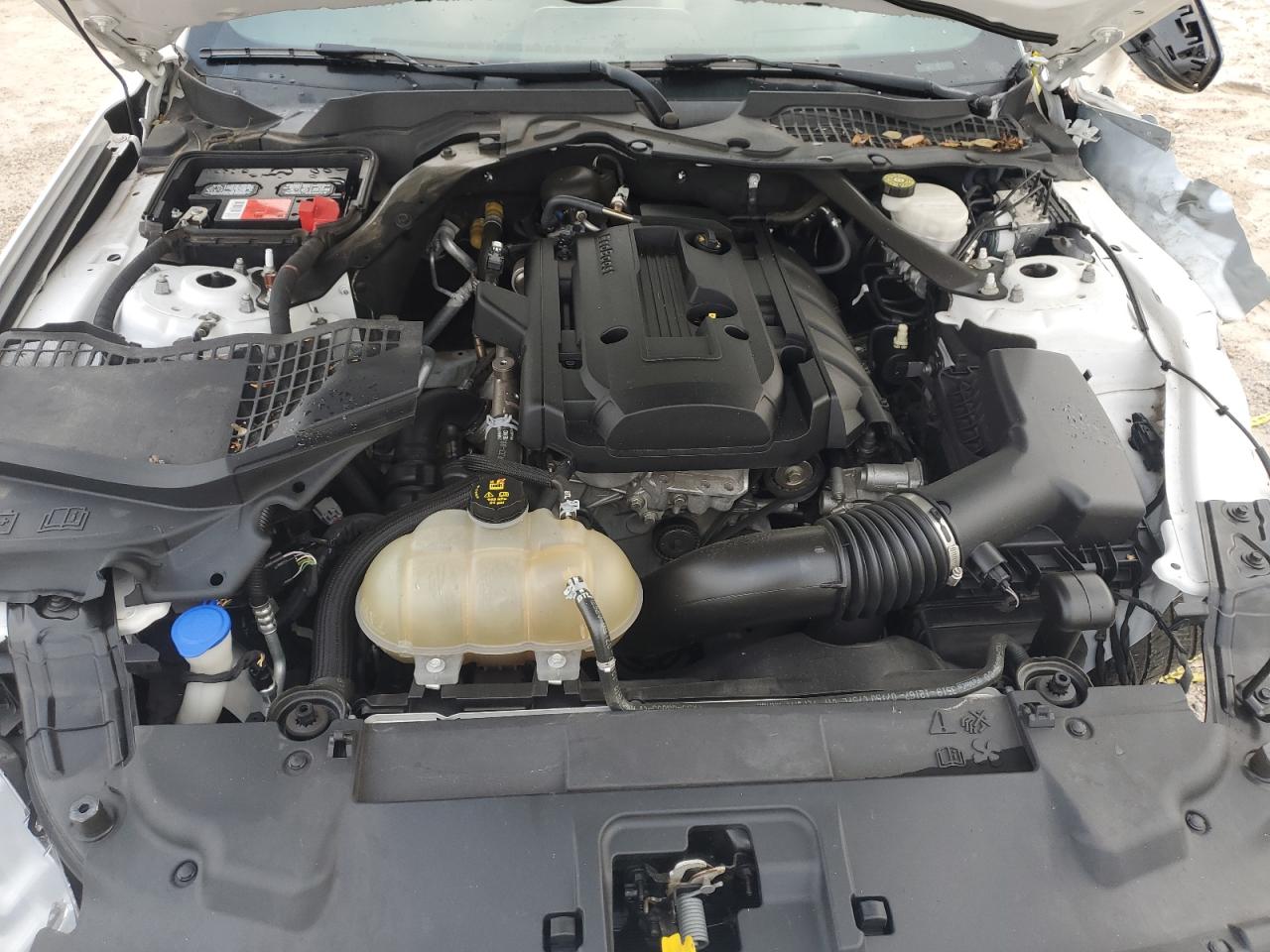 1FATP8UH0L5134981 2020 Ford Mustang