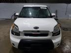 KIA SOUL + photo