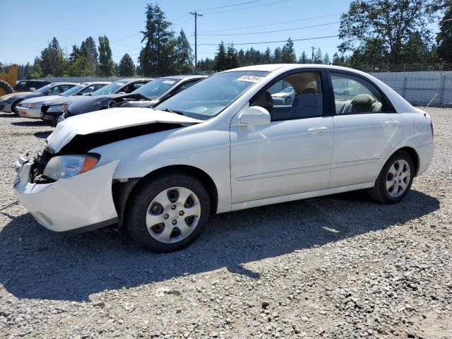 2004 Kia Spectra Lx VIN: KNAFE121645042069 Lot: 58542694