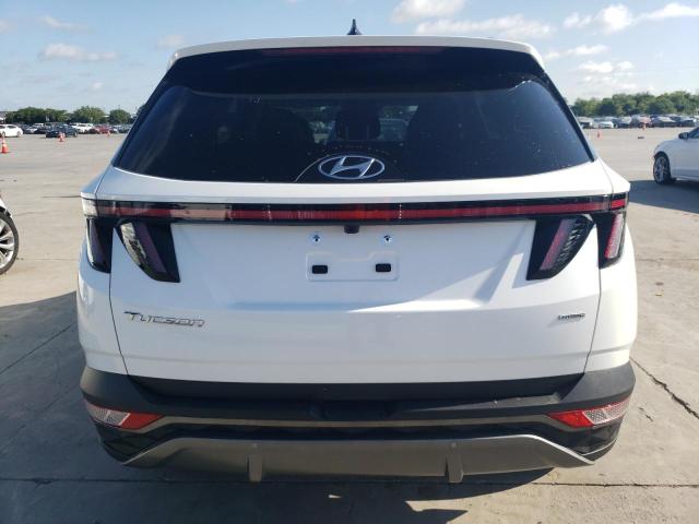 2023 HYUNDAI TUCSON LIM - 5NMJECAE6PH237331