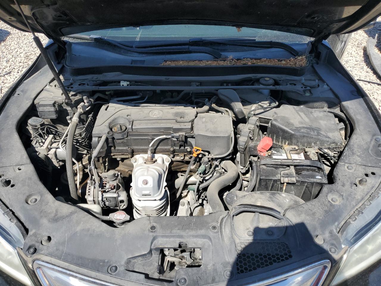 19UUB1F38FA001100 2015 Acura Tlx