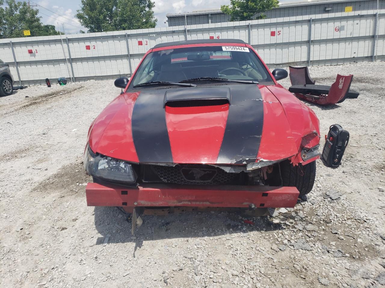 Lot #2771476329 1999 FORD MUSTANG GT