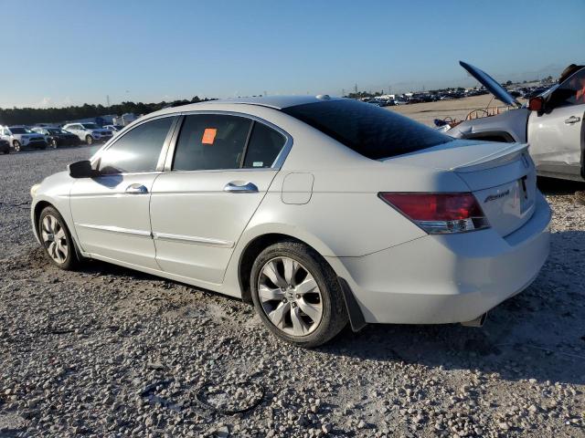 1HGCP368X8A067333 2008 Honda Accord Exl