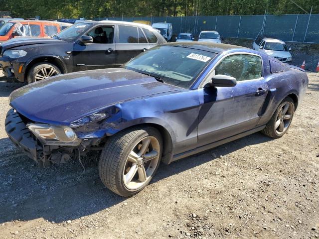 2010 Ford Mustang VIN: 1ZVBP8AN9A5145651 Lot: 58173764