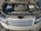 LAND ROVER RANGE ROVE photo