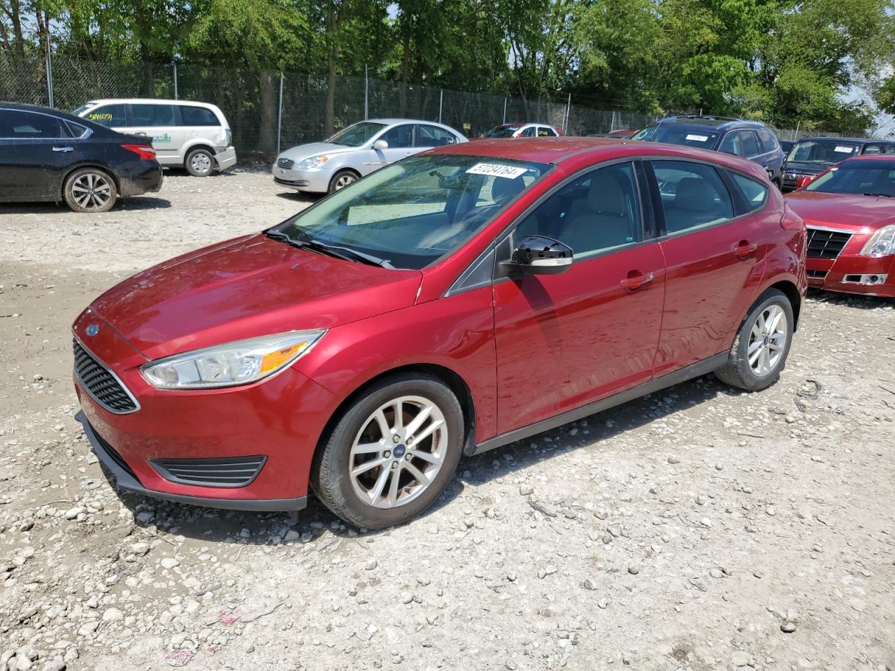 1FADP3K2XFL289978 2015 Ford Focus Se