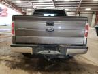 Lot #3024902379 2013 FORD F150 SUPER