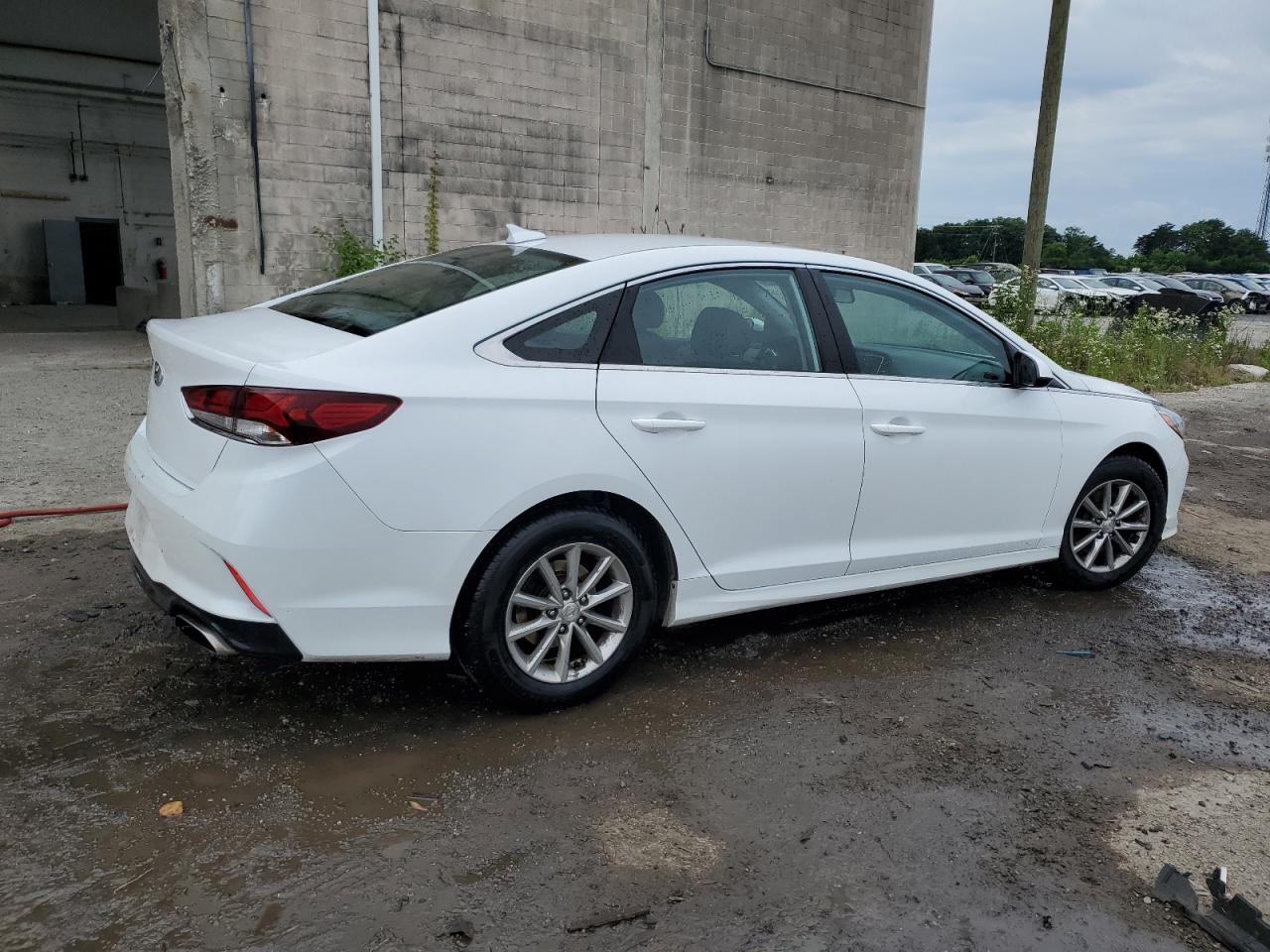 5NPE24AF6KH796348 2019 Hyundai Sonata Se