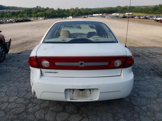 2003 Chevrolet Cavalier VIN: 1G1JC52F837247765 Lot: 59624664