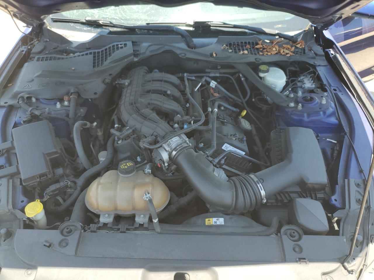 1FATP8EM5F5356268 2015 Ford Mustang