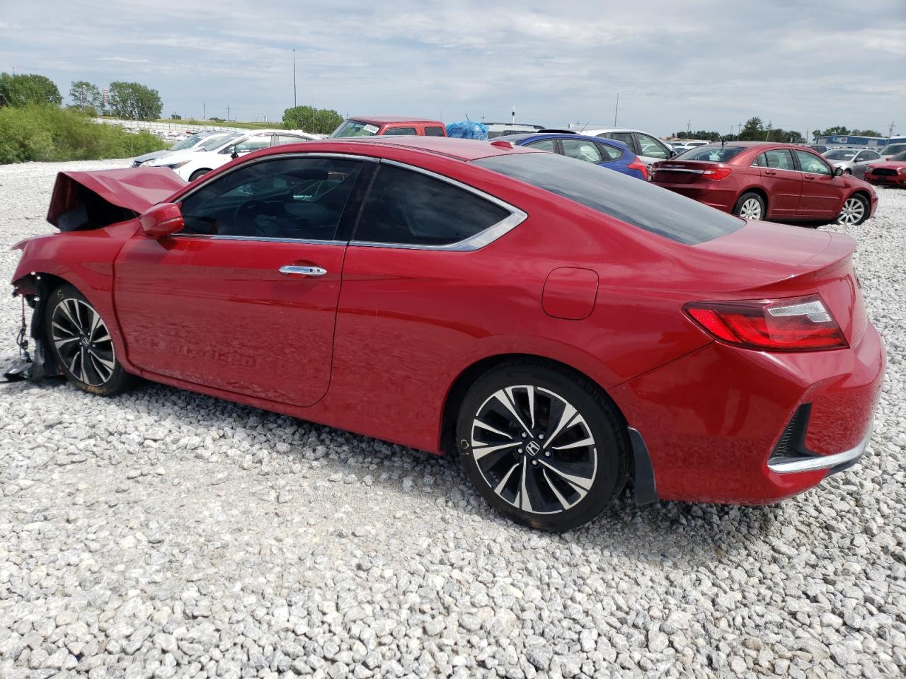 Lot #2679042725 2016 HONDA ACCORD EXL