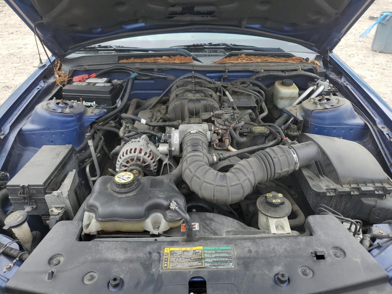 1ZVFT80N565178216 2006 Ford Mustang