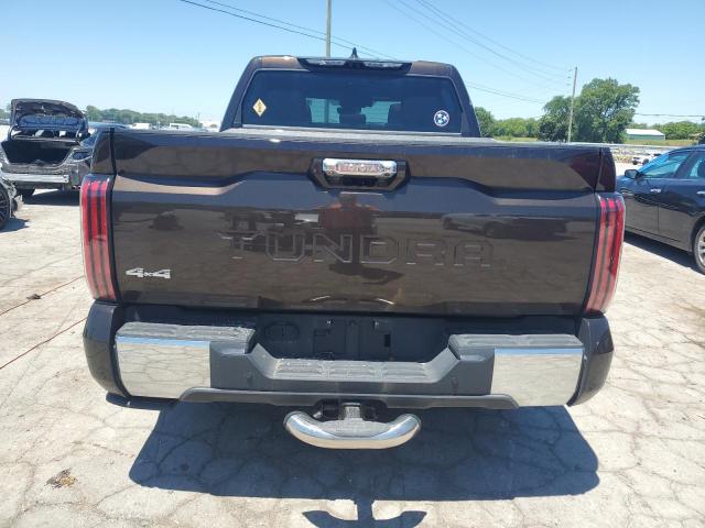 2023 Toyota Tundra Crewmax Platinum VIN: 5TFMA5DB9PX081959 Lot: 60332354