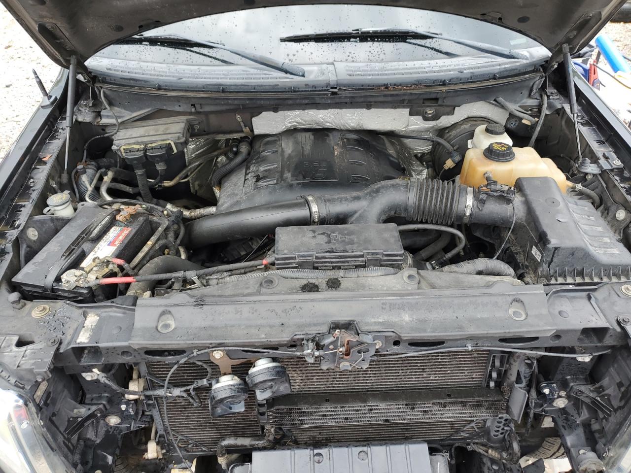 1FTFW1CT9DKD46482 2013 Ford F150 Supercrew