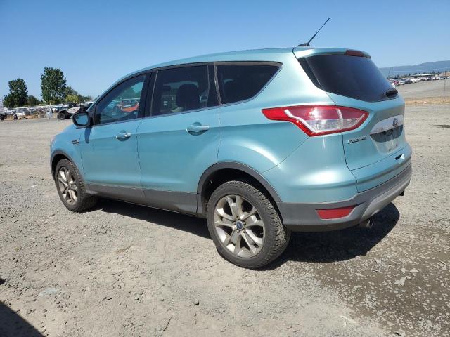 2013 Ford Escape Sel VIN: 1FMCU9H94DUA80843 Lot: 57745784