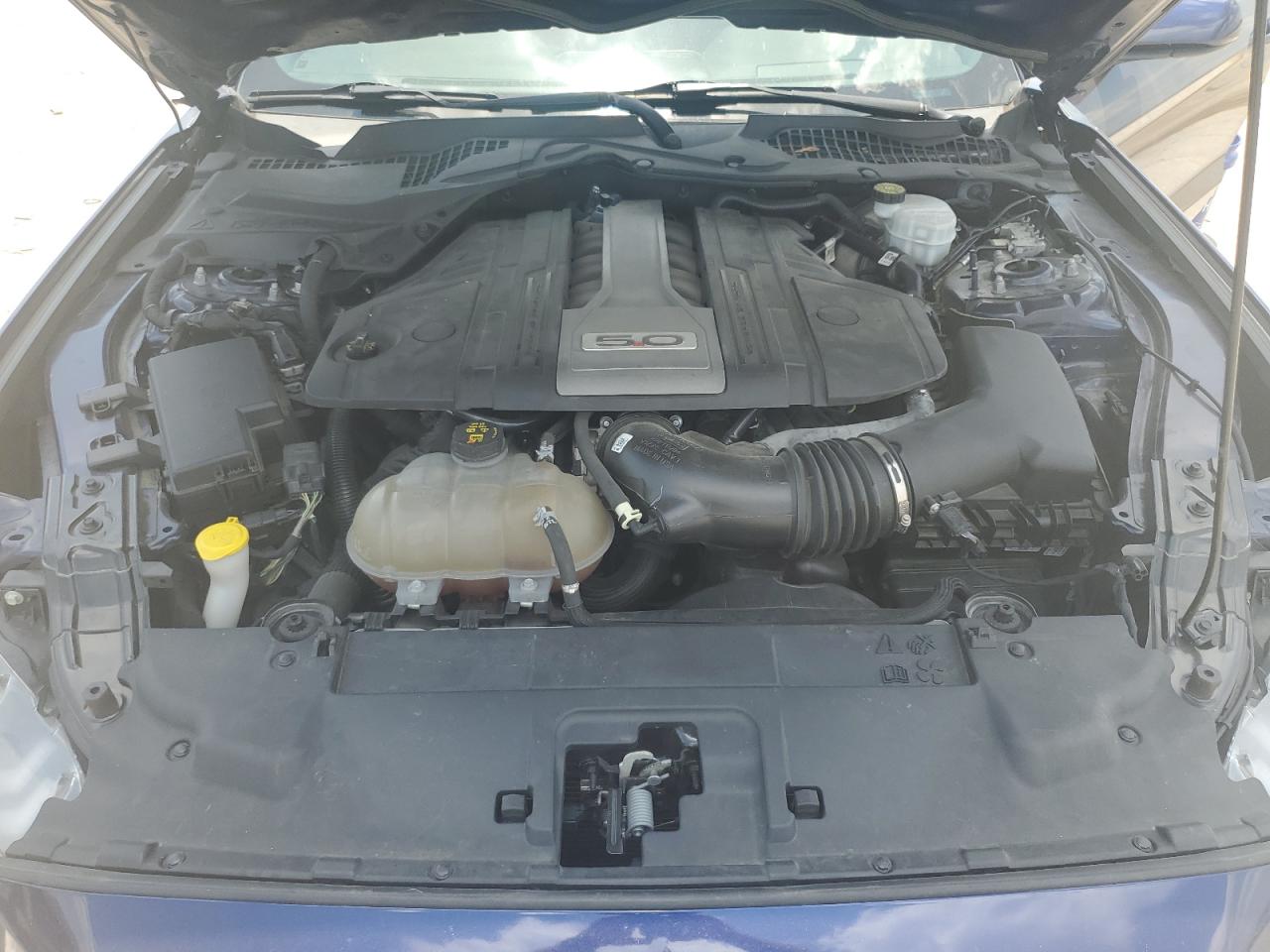 1FA6P8CF4K5115071 2019 Ford Mustang Gt