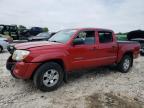 TOYOTA TACOMA DOU photo