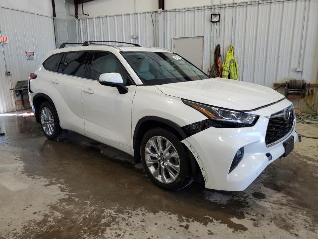 2020 Toyota Highlander Limited VIN: 5TDDZRBH0LS026386 Lot: 57418974