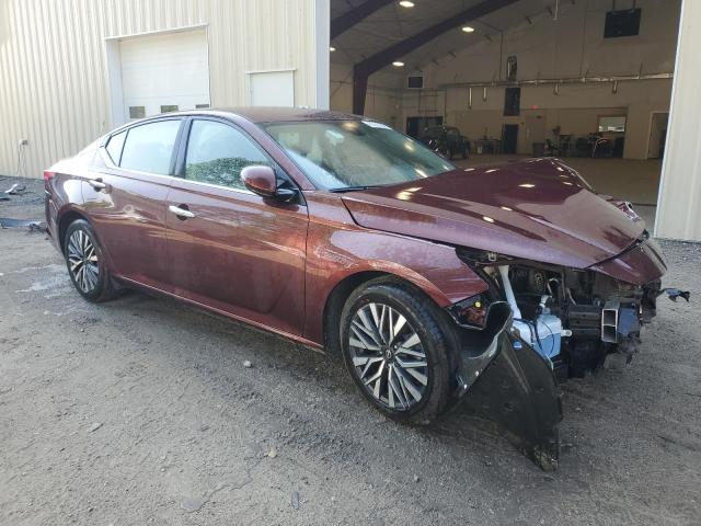 2023 Nissan Altima Sv VIN: 1N4BL4DV4PN371999 Lot: 58820974