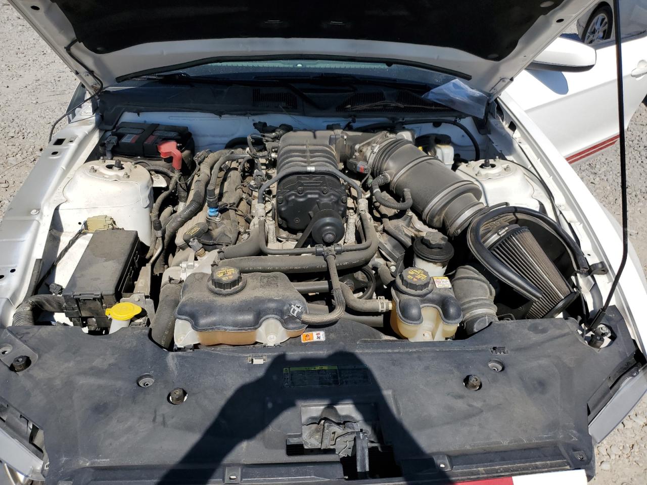 1ZVBP8JS5A5163800 2010 Ford Mustang Shelby Gt500