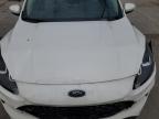 FORD ESCAPE SE снимка