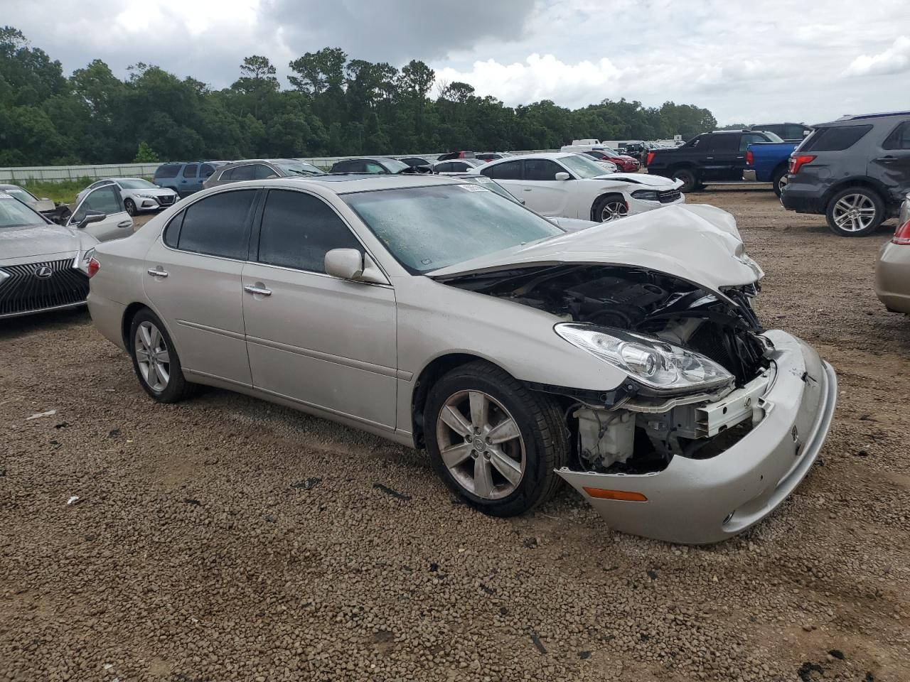 Global Auto Auctions