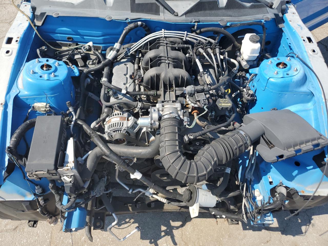 1ZVBP8AN6A5141766 2010 Ford Mustang