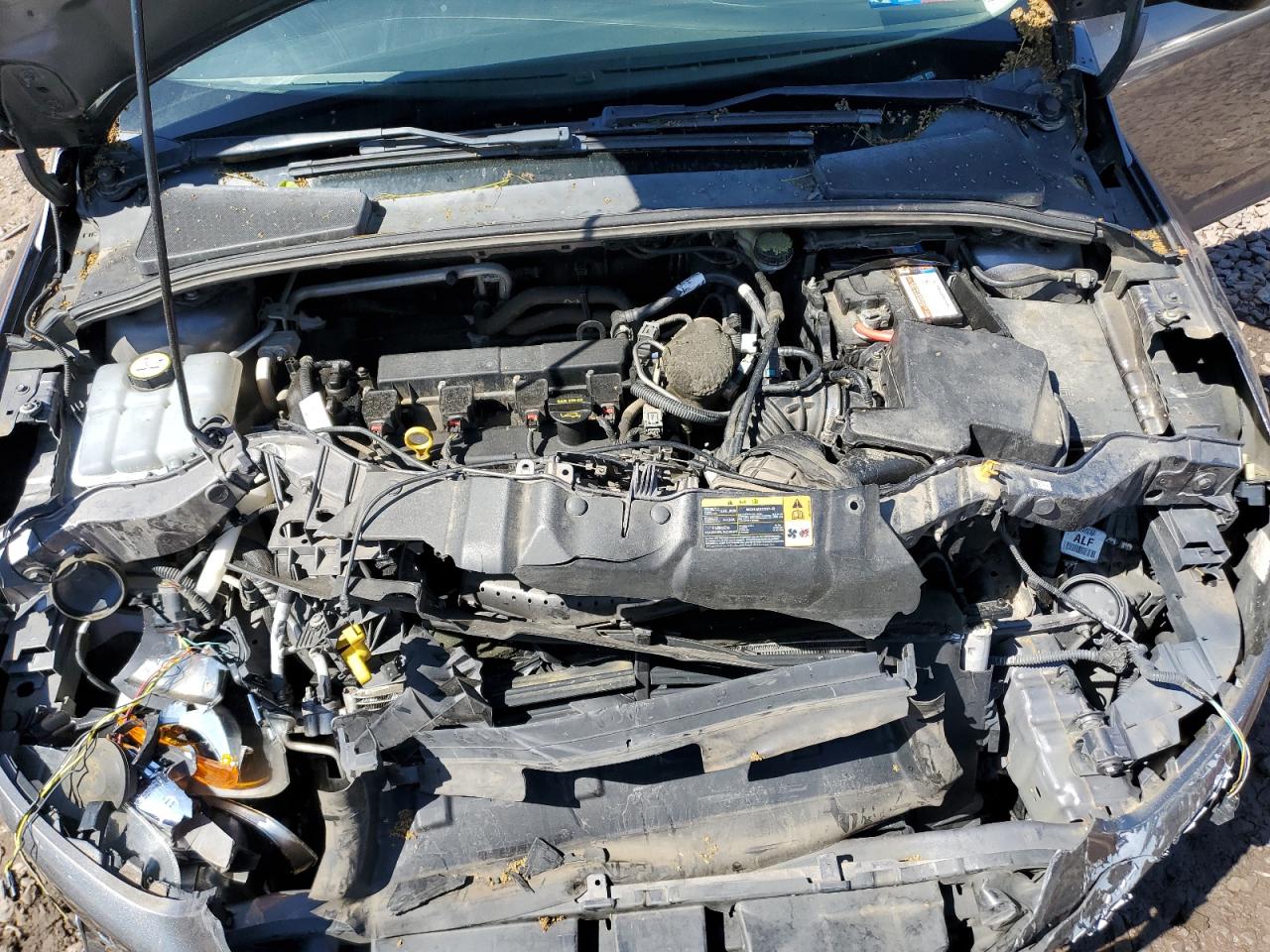 1FADP3F2XDL305233 2013 Ford Focus Se