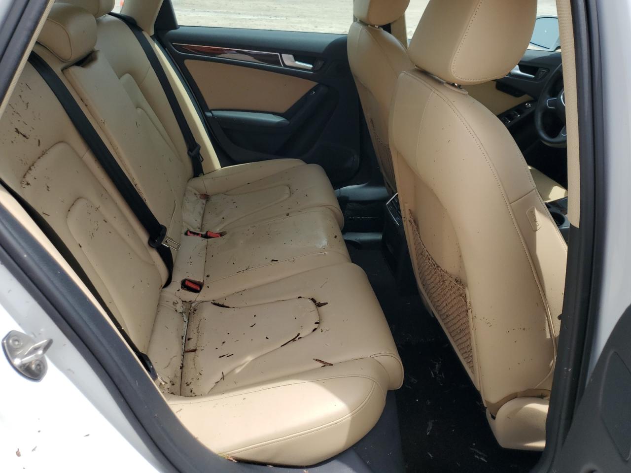 WAUFFAFL6DA165533 2013 Audi A4 Premium Plus