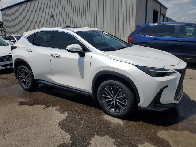 2024 LEXUS NX 350 LUX 2T2HGCEZ5RC056117