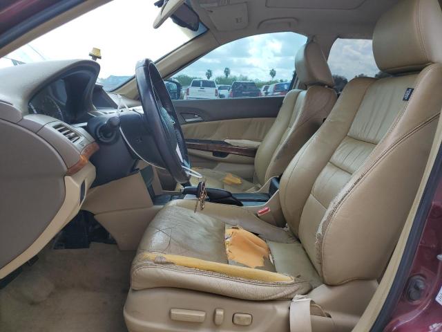 2009 Honda Accord Exl VIN: 1HGCP36899A012647 Lot: 60752844