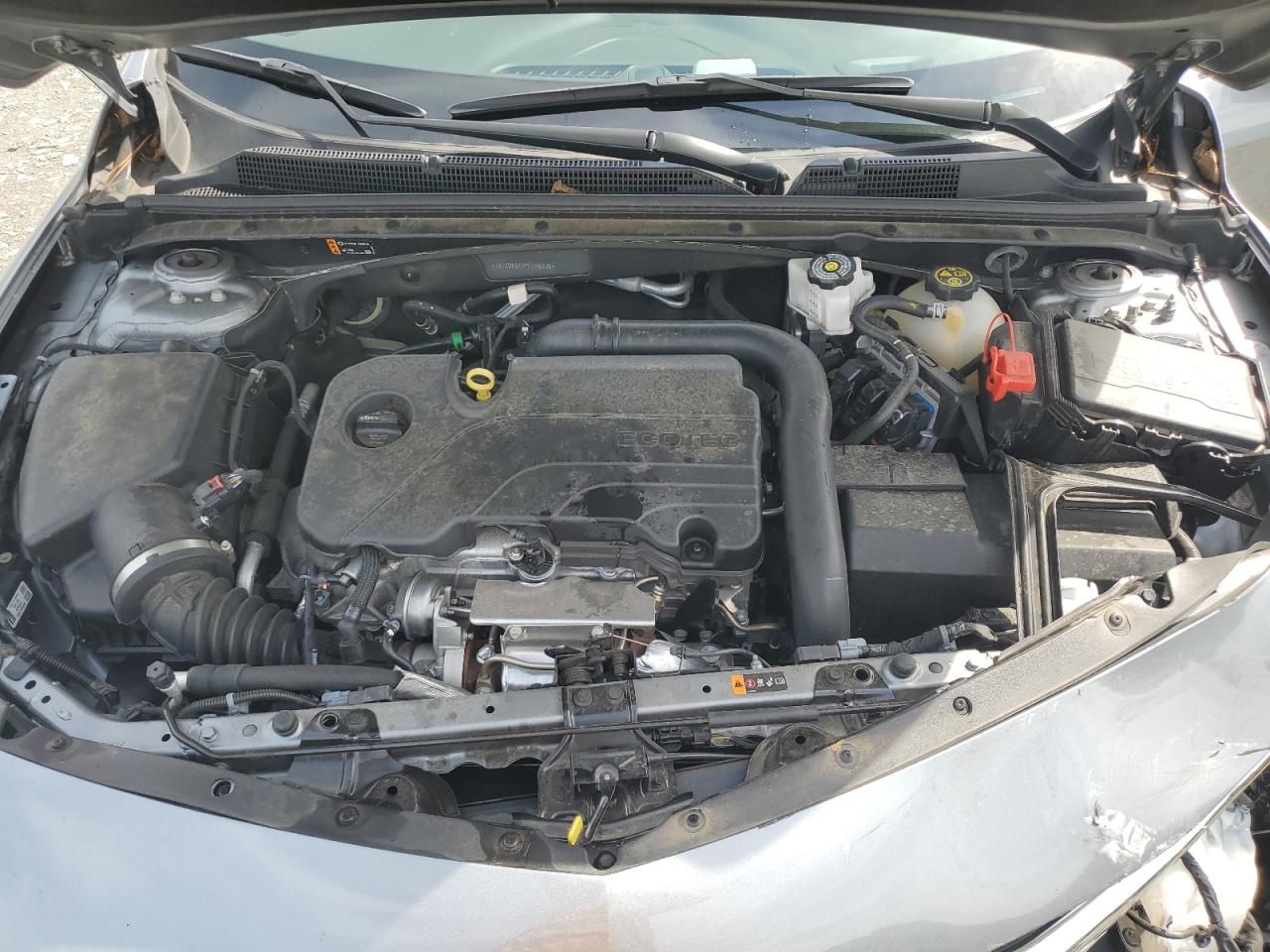 1G1ZD5ST1PF145306 2023 Chevrolet Malibu Lt