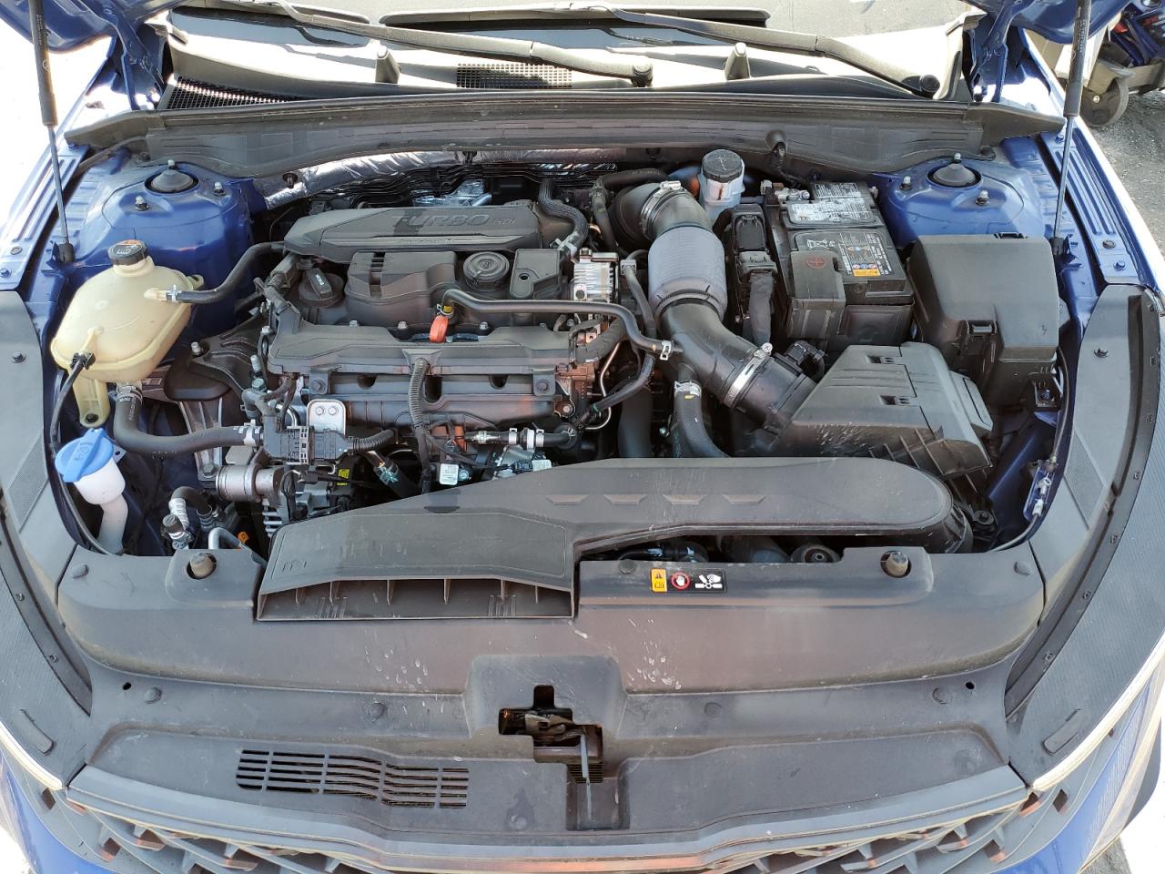 5XXG64J26RG229878 2024 Kia K5 Gt Line