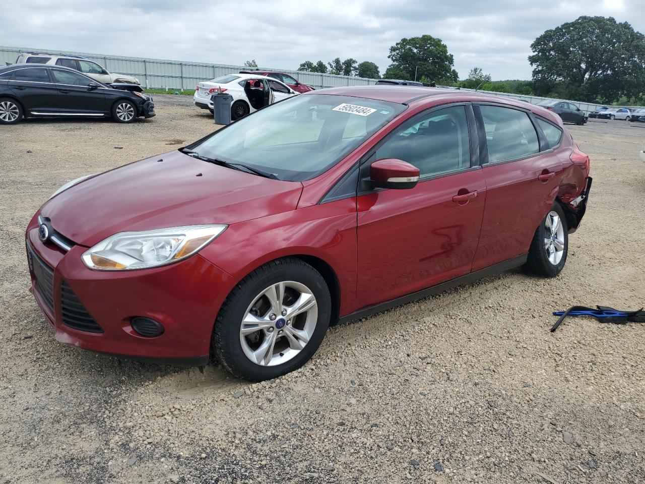 1FADP3K21DL344962 2013 Ford Focus Se