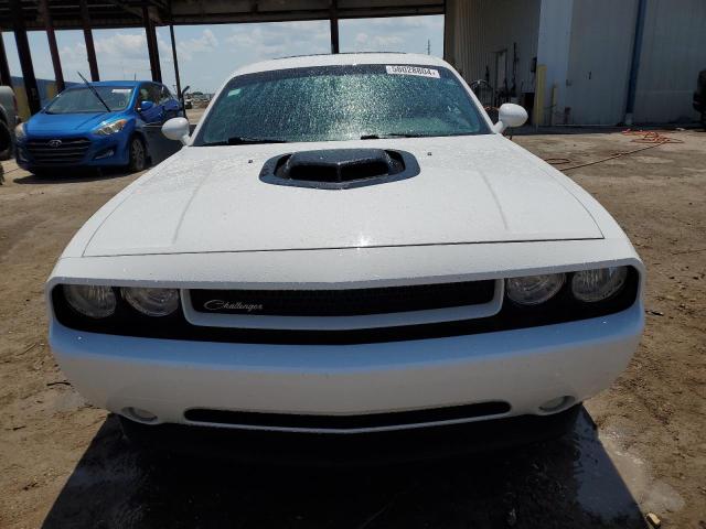 2014 Dodge Challenger R/T VIN: 2C3CDYBT0EH231592 Lot: 58028804